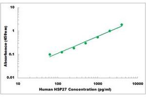 Representative Standard Curve (HSP27 ELISA 试剂盒)