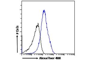 Flow Cytometry (FACS) image for anti-Interleukin 18 (IL18) (Internal Region) antibody (ABIN570987)