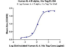 Immobilized Human IL-4 R alpha, His Tag at 1 μg/mL (100 μL/Well). (IL4 Receptor Protein (AA 24-232) (His tag))