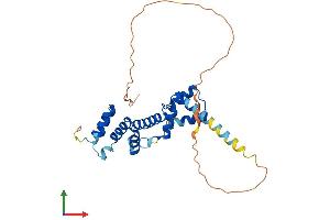 AlphaFold protein structure predicition of Human Recombinant SIX1 Protein, UniprotID Q15475