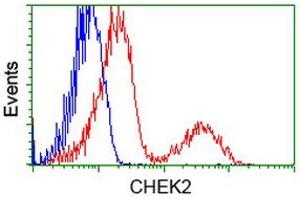Flow Cytometry (FACS) image for anti-Checkpoint Kinase 2 (CHEK2) antibody (ABIN1497499) (CHEK2 抗体)