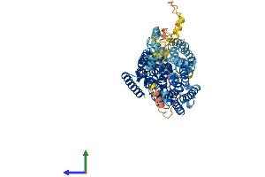 Protein Structure (PS) image for Solute Carrier Family 5 (Sodium/glucose Cotransporter), Member 9 (SLC5A9) (AA 1-685) protein (His tag) (ABIN7559871)