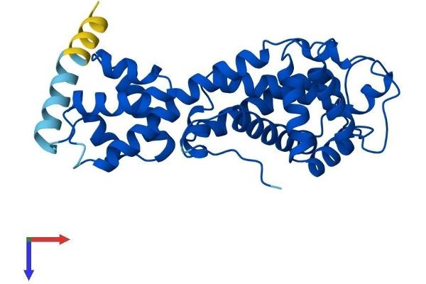 ELMOD2 Protein (AA 1-293) (His tag)