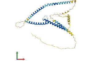 Protein Structure (PS) image for Transcription Factor AP-4 (Activating Enhancer Binding Protein 4) (TFAP4) (AA 1-338) protein (His tag) (ABIN7544401)