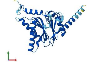 Protein Structure (PS) image for Proteasome Subunit alpha  7 (PSMA7) (AA 1-248) protein (His tag) (ABIN7555088)