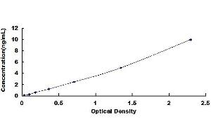 Typical standard curve (KEAP1 ELISA 试剂盒)