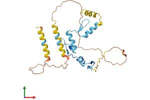 Protein Structure (PS) image for Kruppel-Like Factor 9 (KLF9) (AA 1-244) protein (His tag) (ABIN7548925)