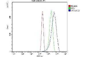 Flow Cytometry analysis of RT4 cells using anti-TROP2/TACSTD2 antibody (ABIN7603102). (TACSTD2 抗体  (Middle Region))
