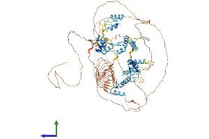 AlphaFold protein structure predicition of Human Recombinant ZNF512B Protein, UniprotID Q96KM6