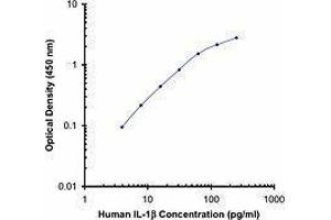 ELISA image for anti-Interleukin 1, beta (IL1B) antibody (Biotin) (ABIN2661221) (IL-1 beta 抗体  (Biotin))