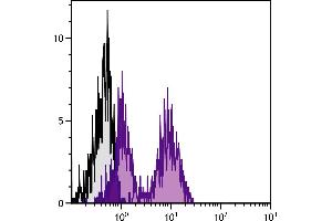 Image no. 1 for anti-Killer Cell Lectin-Like Receptor Subfamily D, Member 1 (KLRD1) antibody (Biotin) (ABIN375942)