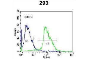 Flow Cytometry (FACS) image for anti-Kallikrein 7 (KLK7) antibody (ABIN3002618) (Kallikrein 7 抗体)