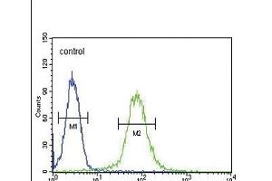 SMS Antibody (ABIN652064 and ABIN2840532) flow cytometric analysis of Hela cells (right histogram) compared to a negative control cell (left histogram). (SMS 抗体)