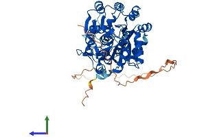 AlphaFold protein structure predicition of Human Recombinant DDX6 Protein, UniprotID P26196