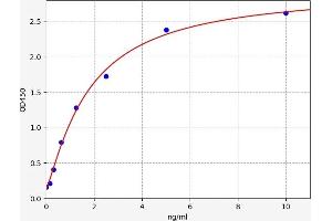 MMP15 ELISA 试剂盒