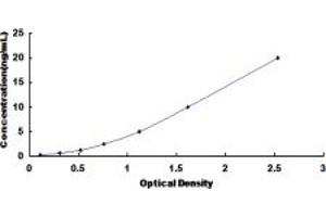 Typical standard curve (IL7R ELISA 试剂盒)