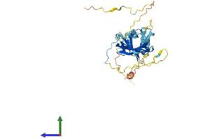 Protein Structure (PS) image for Ubiquitin Fusion Degradation Protein 1 Homolog (UFD1L) (AA 1-307) protein (His tag) (ABIN7544953)