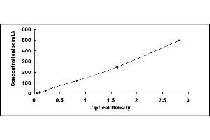 Typical standard curve (IL-19 ELISA 试剂盒)