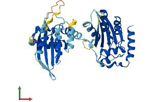 AlphaFold protein structure predicition of Human Recombinant APOBEC3D Protein, UniprotID Q96AK3