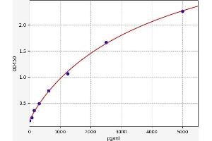 Typical standard curve (CXORF61 ELISA 试剂盒)