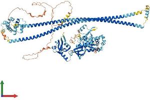 Protein Structure (PS) image for Caspase Recruitment Domain Family, Member 14 (CARD14) (AA 1-1004) protein (His tag) (ABIN7553075)