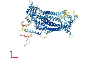 Protein Structure (PS) image for Anoctamin 9 (ANO9) (AA 1-782) protein (His tag) (ABIN7552094)