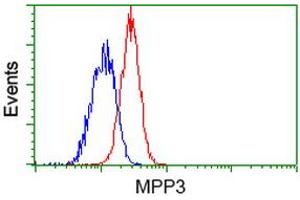 Flow cytometric Analysis of Jurkat cells, using anti-MPP3 antibody (ABIN2453326), (Red), compared to a nonspecific negative control antibody (ABIN2453326), (Blue). (MPP3 抗体)