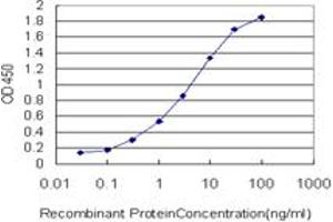 Detection limit for recombinant GST tagged UBE2S is approximately 0. (UBE2S 抗体  (AA 1-222))