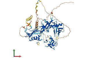 Protein Structure (PS) image for E3 Ubiquitin-protein ligase DTX1 (DTX1) (AA 1-627) protein (His tag) (ABIN7563895)