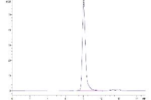 Size-exclusion chromatography-High Pressure Liquid Chromatography (SEC-HPLC) image for Fibroblast Activation Protein, alpha (FAP) (AA 26-760) protein (His-Avi Tag,Biotin) (ABIN7274582)