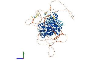 Protein Structure (PS) image for Family with Sequence Similarity 120A (FAM120A) (AA 1-1112) protein (His tag) (ABIN7564037)