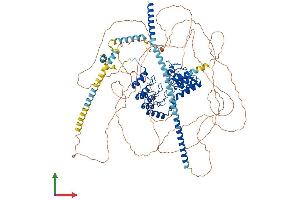 Protein Structure (PS) image for Myosin Phosphatase, Target Subunit 1 (PPP1R12A) (AA 1-1029) protein (His tag) (ABIN7565008)