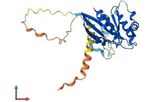 Protein Structure (PS) image for ADP-Ribosylation Factor-Like 10 (ARL10) (AA 1-244) protein (His tag) (ABIN7552336)