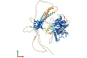 Protein Structure (PS) image for Oxysterol Binding Protein-Like 7 (OSBPL7) (AA 1-842) protein (His tag) (ABIN7550560)