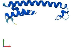 Protein Structure (PS) image for Presenilin Enhancer 2 Homolog (PSENEN) (AA 1-101) protein (His tag) (ABIN7550628)