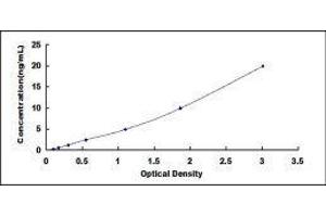 Typical standard curve (Occludin ELISA 试剂盒)