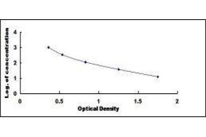 ELISA image for Complement Factor H (CFH) ELISA Kit (ABIN416174)