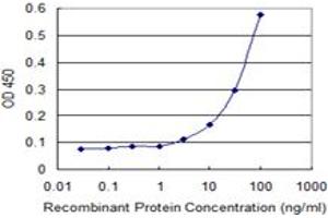 Detection limit for recombinant GST tagged TADA3L is 1 ng/ml as a capture antibody. (TADA3L 抗体  (AA 1-432))