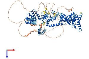 LONRF3 Protein (AA 1-759) (His tag)