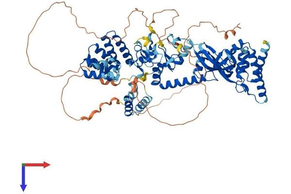 LONRF3 Protein (AA 1-759) (His tag)