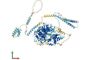 AlphaFold protein structure predicition of Human Recombinant DHX16 Protein, UniprotID O60231