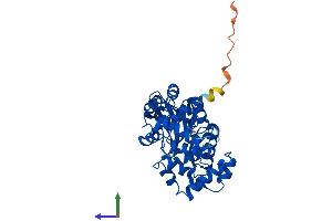 Protein Structure (PS) image for 8-Oxoguanine DNA Glycosylase (OGG1) (AA 1-345) protein (His tag) (ABIN7550344)