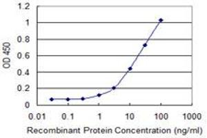 Detection limit for recombinant GST tagged RUNDC3A is 0. (RUNDC3A 抗体  (AA 1-405))
