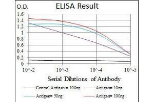 Black line: Control Antigen (100 ng), Purple line: Antigen(10 ng), Blue line: Antigen (50 ng), Red line: Antigen (100 ng), (DLK1 抗体)
