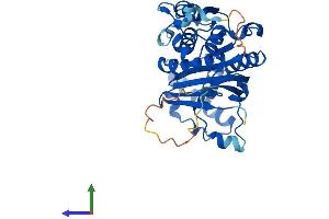 Protein Structure (PS) image for SUMO1 Activating Enzyme Subunit 1 (SAE1) (AA 1-350) protein (His tag) (ABIN7556227)