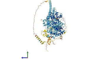 AlphaFold protein structure predicition of Mouse Recombinant Chd1l Protein, UniprotID Q9CXF7