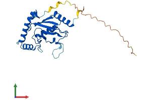 Protein Structure (PS) image for Cell Division Cycle 34 (CDC34) (AA 1-236) protein (His tag) (ABIN7555875)