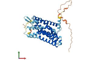 Protein Structure (PS) image for G Protein-Coupled Receptor 81 (GPR81) (AA 1-346) protein (His tag) (ABIN7548277)