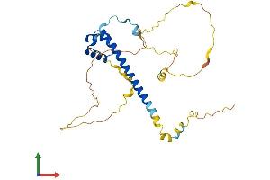 Protein Structure (PS) image for T-Cell Leukemia Homeobox 3 (TLX3) (AA 1-291) protein (His tag) (ABIN7562491)