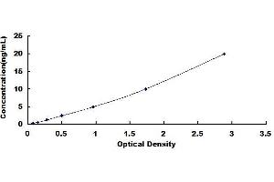 Typical standard curve (ADCY6 ELISA 试剂盒)